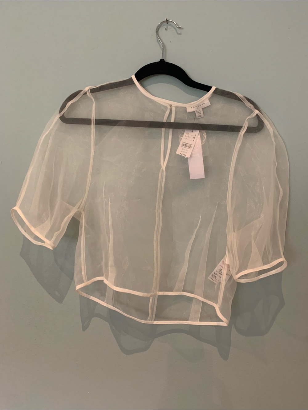 Topshop Sheer White Organza Crop Top with Piping - Picture 2 of 10